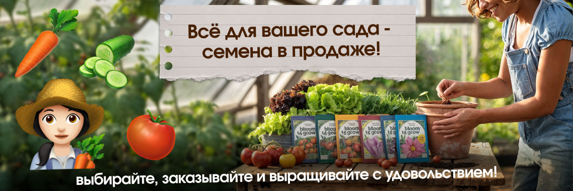 Главная